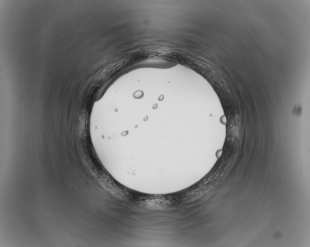 X0000096430468200802211151