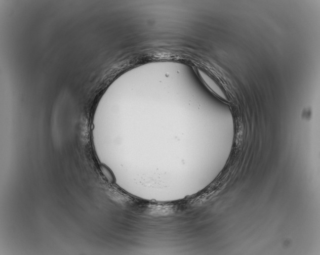 X0000096430469200802211151