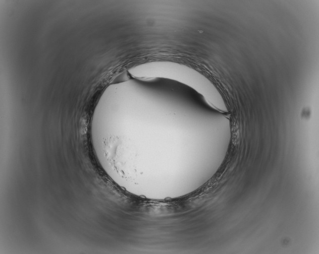 X0000096430472200802211151