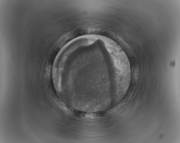 X0000096430475200802211151