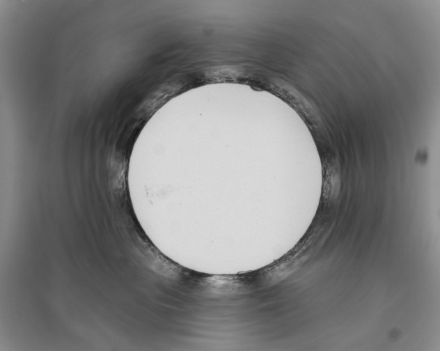 X0000096430477200802211151