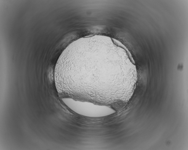 X0000096430479200802211151