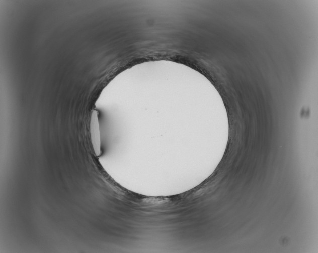 X0000096430480200802211151
