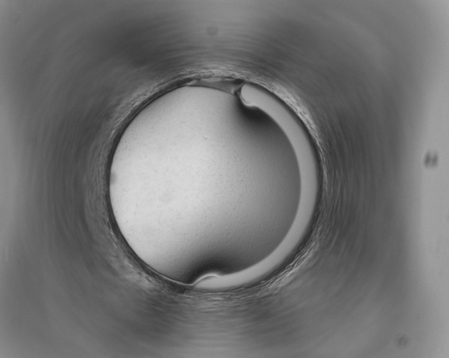 X0000096430481200802211151