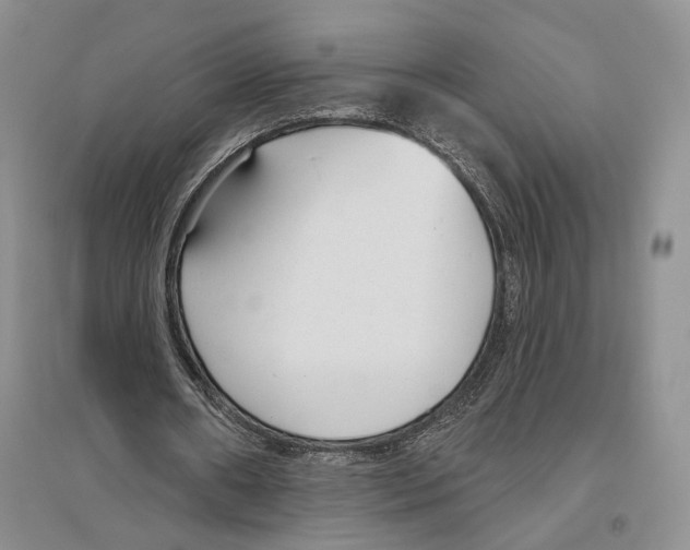X0000096430482200802211151