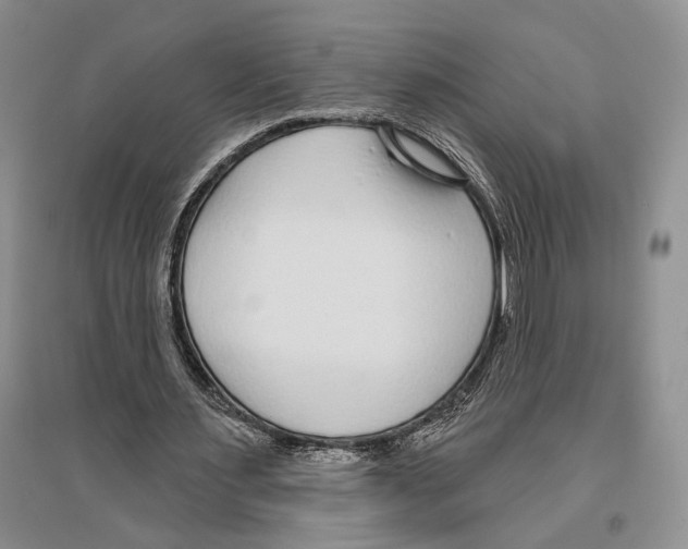 X0000096430483200802211151