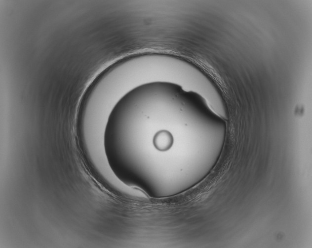 X0000096430484200802211150