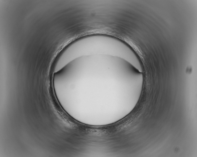 X0000096430486200802211150