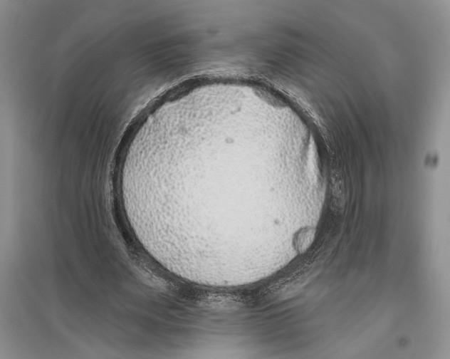 X0000096430487200802211150