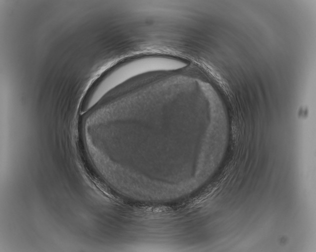 X0000096430488200802211150