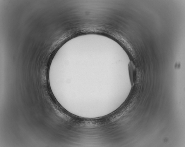 X0000096430489200802211150