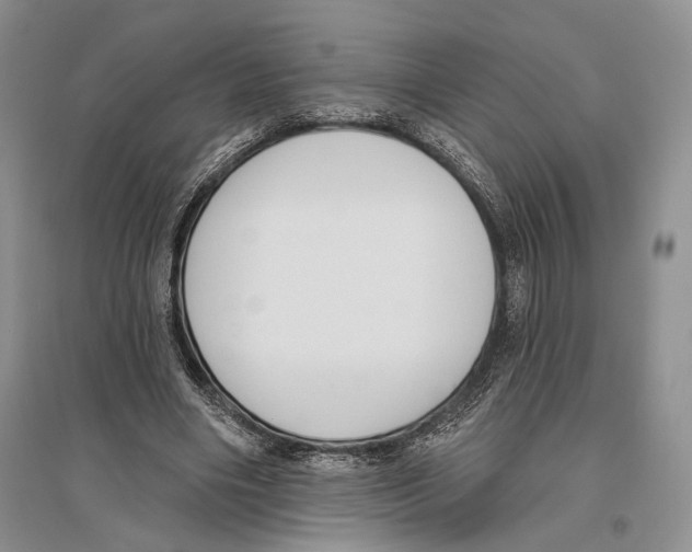 X0000096430490200802211150