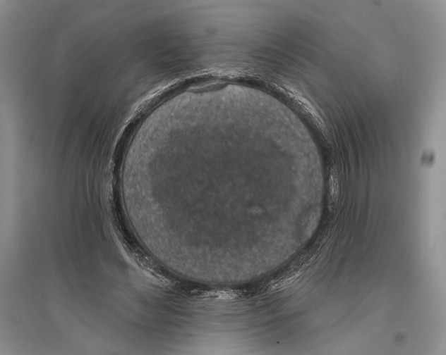 X0000096430492200802211150