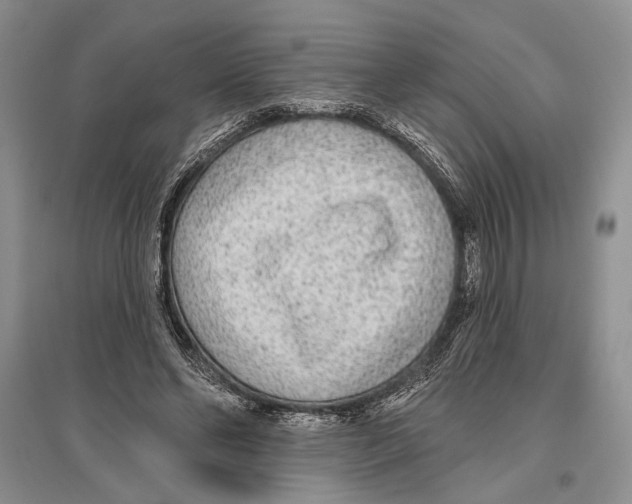 X0000096430494200802211150