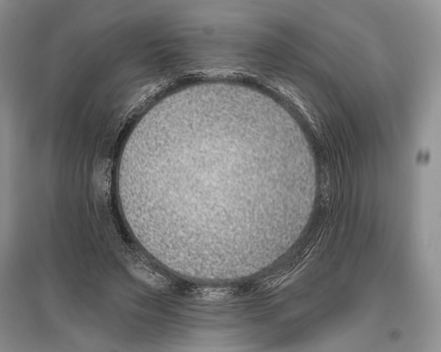 X0000096430495200802211150