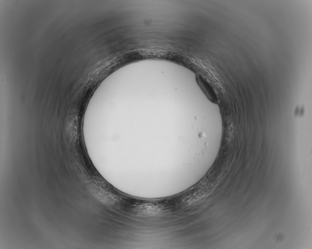 X0000096430498200802211150