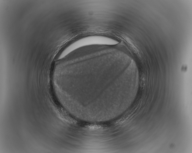 X0000096430500200802211150