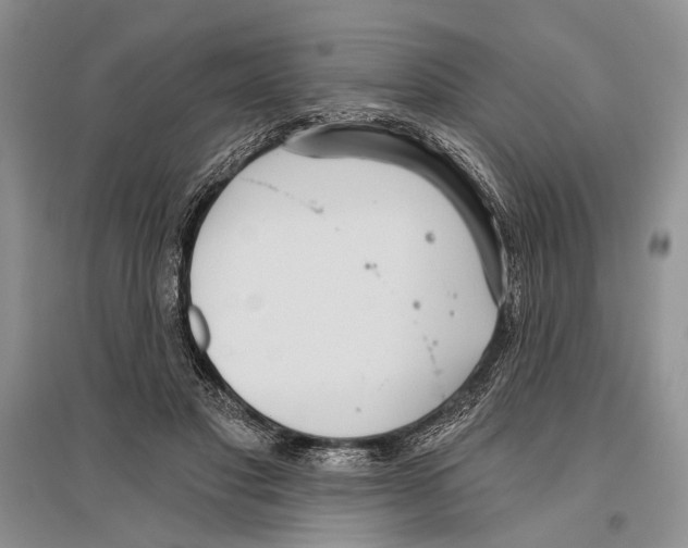 X0000096430501200802211150