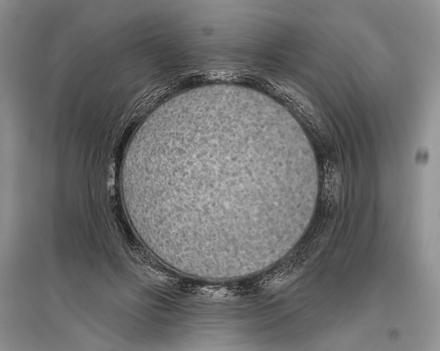 X0000096430502200802211150