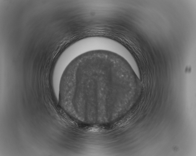 X0000096430504200802211150