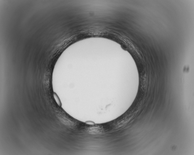 X0000096430505200802211150