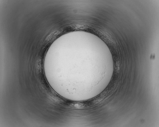 X0000096430506200802211150