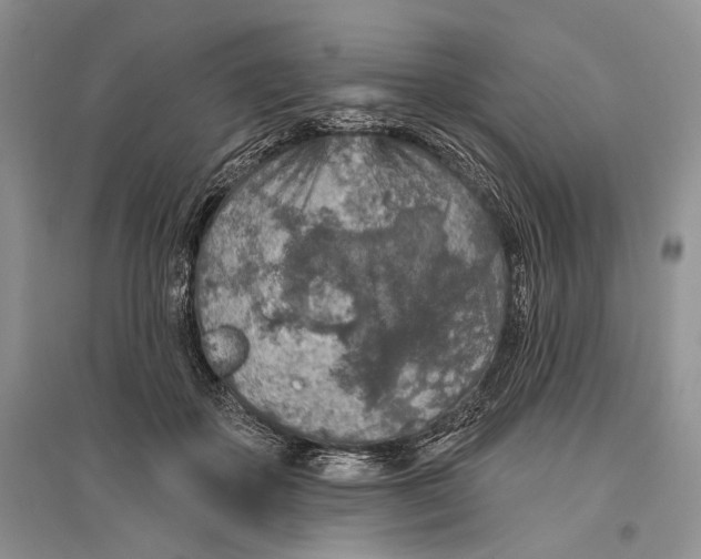 X0000096430507200802211150
