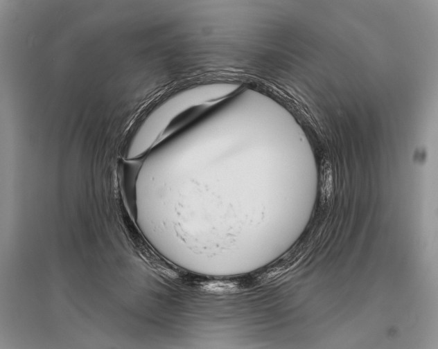 X0000096430508200802211150