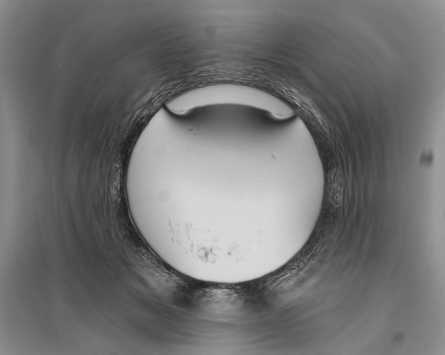 X0000096430509200802211150