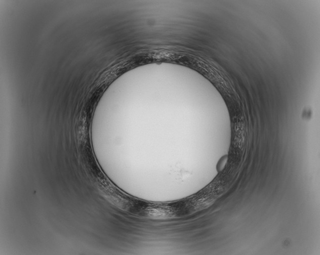 X0000096430510200802211150