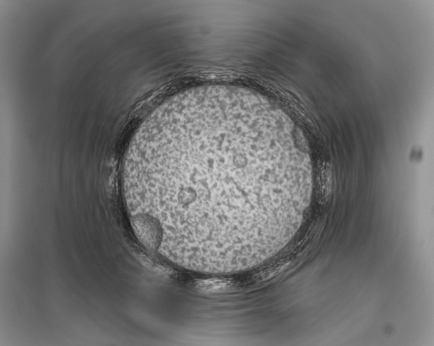X0000096430511200802211150