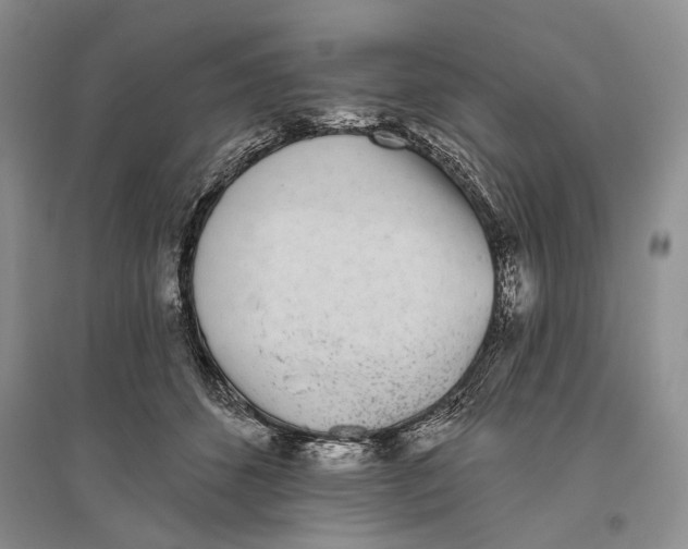 X0000096430512200802211150