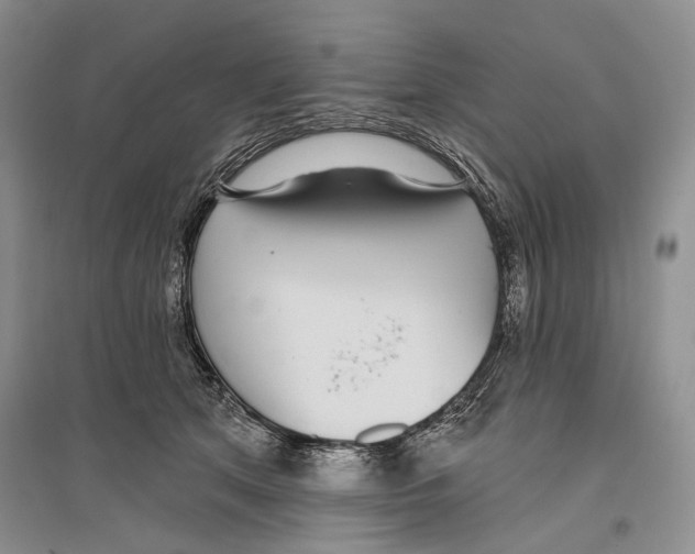X0000096430513200802211150
