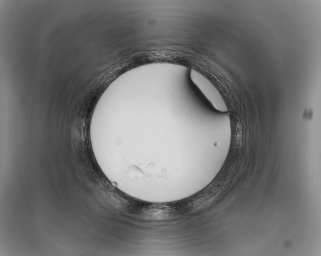 X0000096430514200802211150