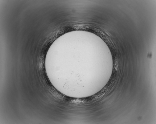 X0000096430515200802211150