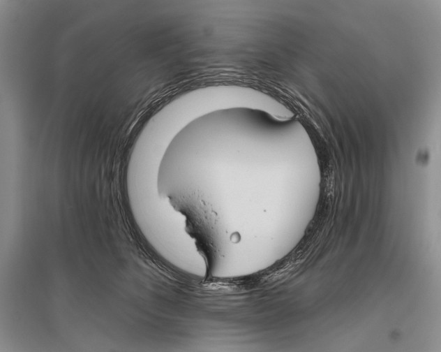 X0000096430516200802211150