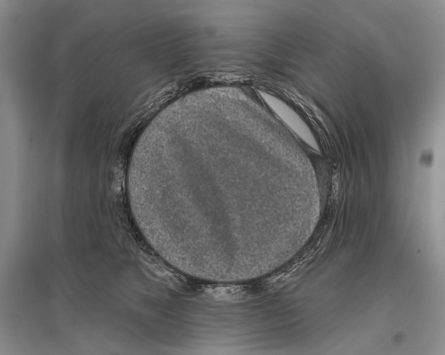 X0000096430517200802211150