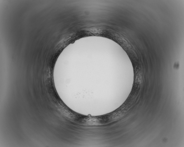 X0000096430518200802211150