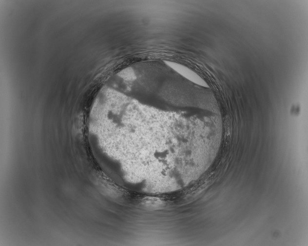 X0000096430519200802211150
