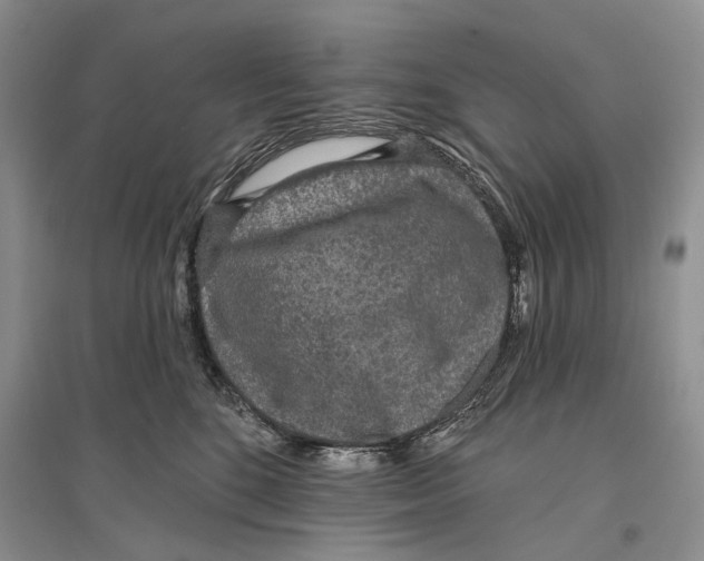X0000096430520200802211150