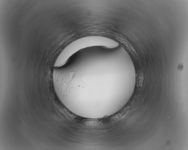 X0000096430521200802211150