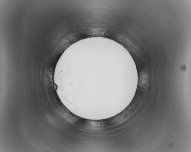 X0000096430522200802211150