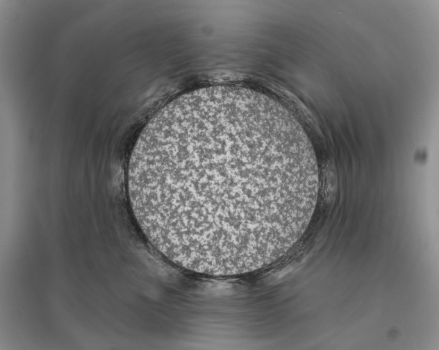 X0000096430523200802211150