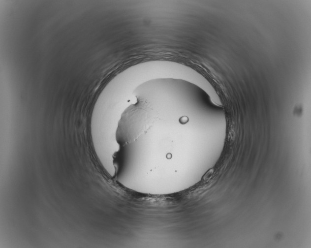 X0000096430524200802211150