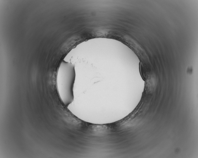 X0000096430525200802211150
