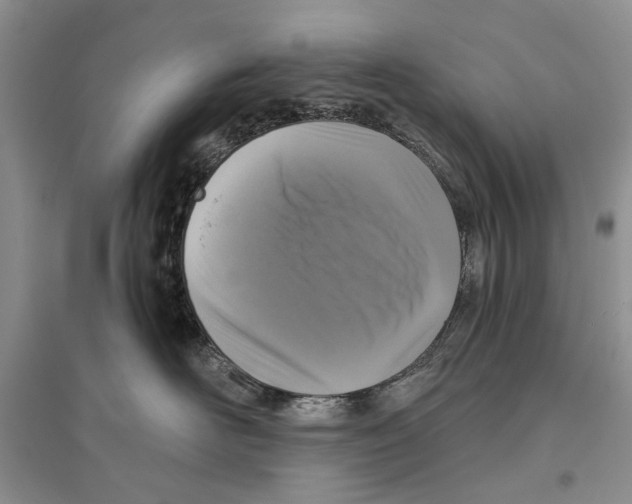 X0000096430526200802211150