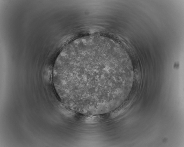 X0000096430527200802211150