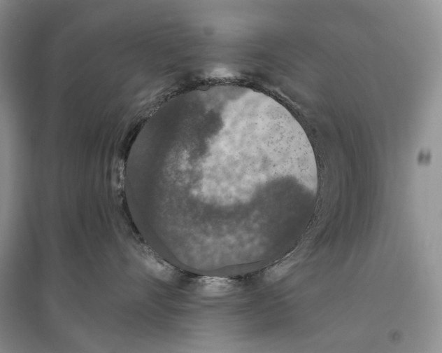 X0000096430528200802211150
