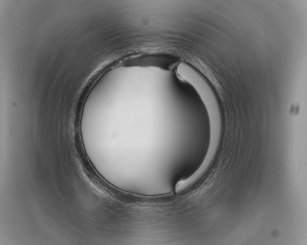 X0000096430530200802211149