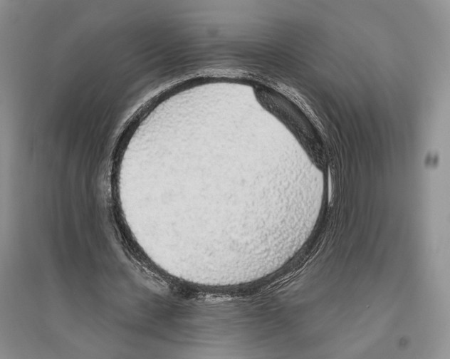 X0000096430531200802211149